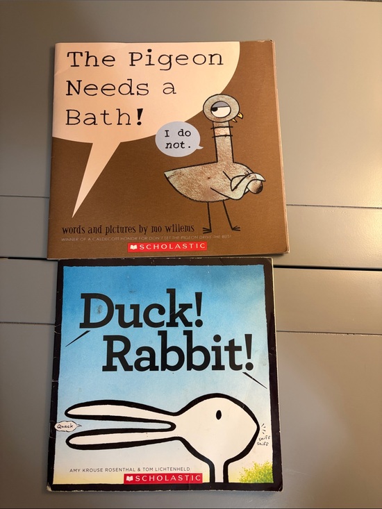 Scholastic Other - Scholastic “The Pigeon Needs a Bath” & “Duck Rabbit” kids books